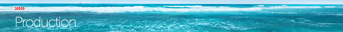 ››››› Production